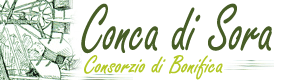          » Home Page